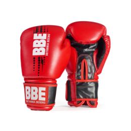 BBE CLUB Fx sparring bag glove
