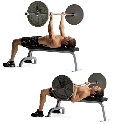 Chest Exercises You Might Not Have Tried Before Chandler Sports